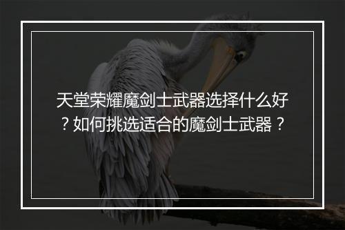天堂荣耀魔剑士武器选择什么好？如何挑选适合的魔剑士武器？