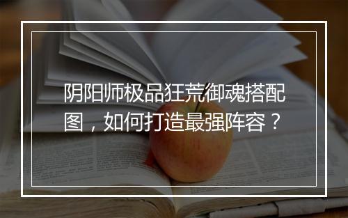 阴阳师极品狂荒御魂搭配图，如何打造最强阵容？