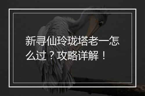 新寻仙玲珑塔老一怎么过？攻略详解！