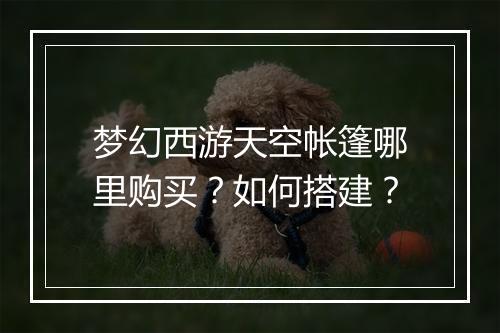 梦幻西游天空帐篷哪里购买？如何搭建？