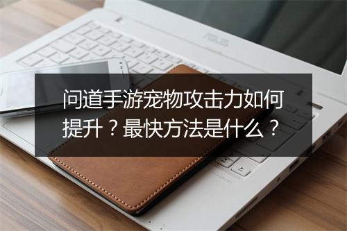 问道手游宠物攻击力如何提升？最快方法是什么？