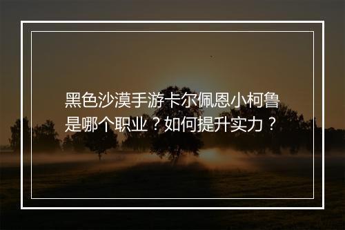 黑色沙漠手游卡尔佩恩小柯鲁是哪个职业？如何提升实力？