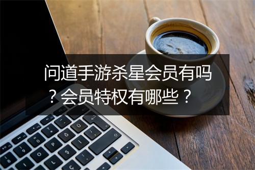 问道手游杀星会员有吗？会员特权有哪些？