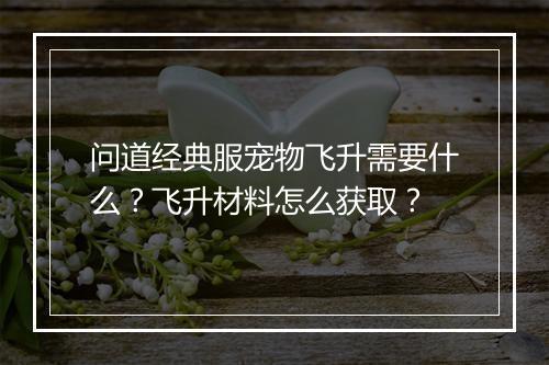 问道经典服宠物飞升需要什么？飞升材料怎么获取？