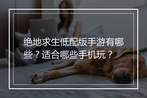 绝地求生低配版手游有哪些？适合哪些手机玩？