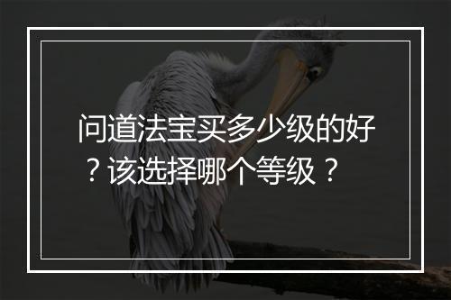 问道法宝买多少级的好？该选择哪个等级？
