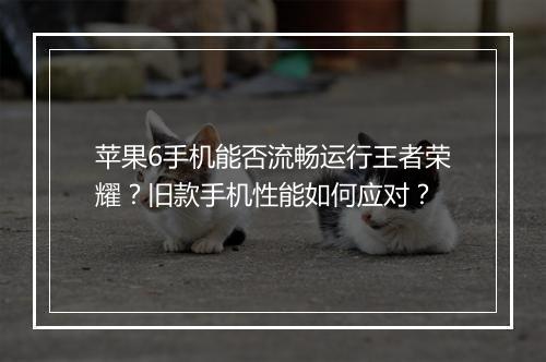 苹果6手机能否流畅运行王者荣耀？旧款手机性能如何应对？