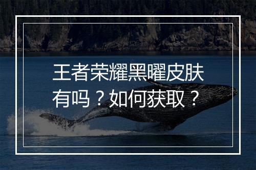 王者荣耀黑曜皮肤有吗？如何获取？