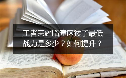 王者荣耀临潼区猴子最低战力是多少？如何提升？