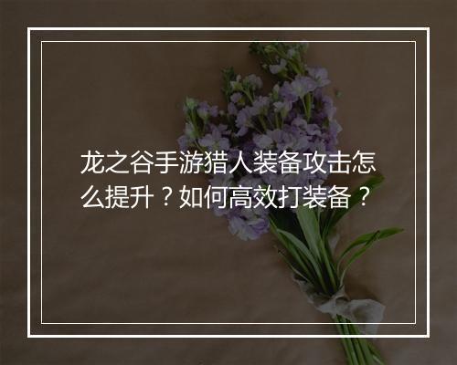 龙之谷手游猎人装备攻击怎么提升？如何高效打装备？