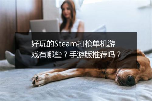 好玩的Steam打枪单机游戏有哪些？手游版推荐吗？