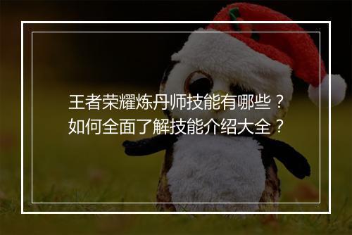 王者荣耀炼丹师技能有哪些？如何全面了解技能介绍大全？