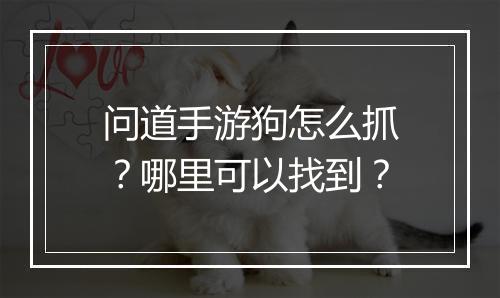 问道手游狗怎么抓？哪里可以找到？