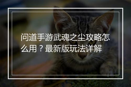 问道手游武魂之尘攻略怎么用？最新版玩法详解