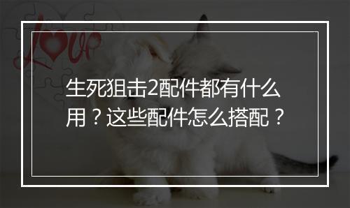 生死狙击2配件都有什么用？这些配件怎么搭配？