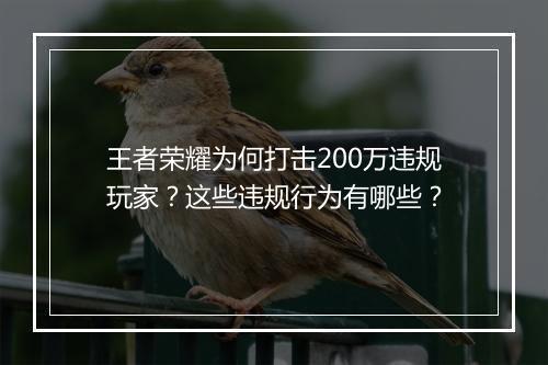 王者荣耀为何打击200万违规玩家？这些违规行为有哪些？