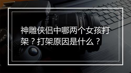 神雕侠侣中哪两个女孩打架？打架原因是什么？
