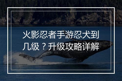 火影忍者手游忍犬到几级？升级攻略详解