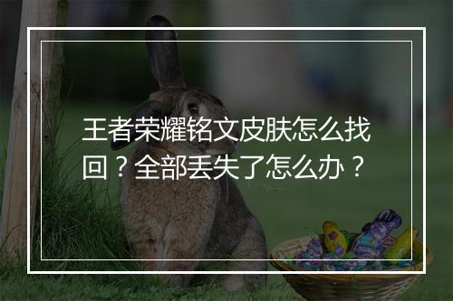 王者荣耀铭文皮肤怎么找回？全部丢失了怎么办？
