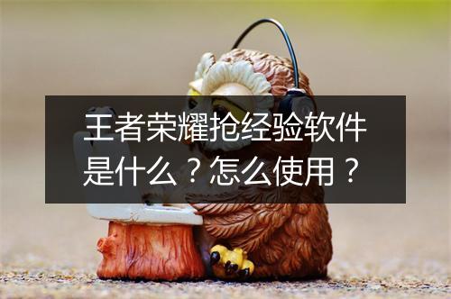 王者荣耀抢经验软件是什么？怎么使用？