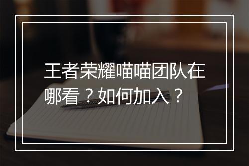王者荣耀喵喵团队在哪看？如何加入？