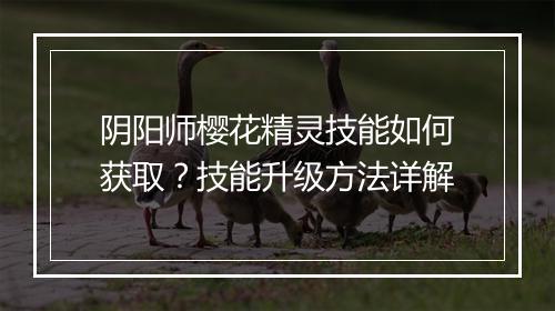 阴阳师樱花精灵技能如何获取？技能升级方法详解