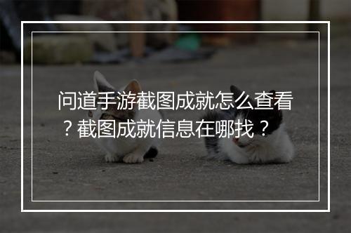 问道手游截图成就怎么查看？截图成就信息在哪找？