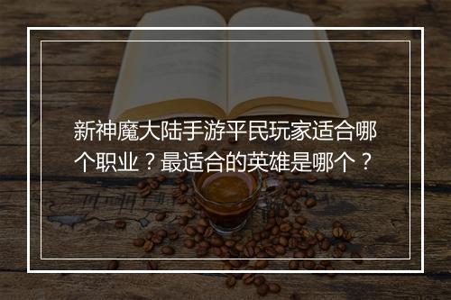 新神魔大陆手游平民玩家适合哪个职业？最适合的英雄是哪个？