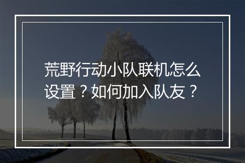 荒野行动小队联机怎么设置？如何加入队友？