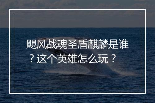 飓风战魂圣盾麒麟是谁？这个英雄怎么玩？