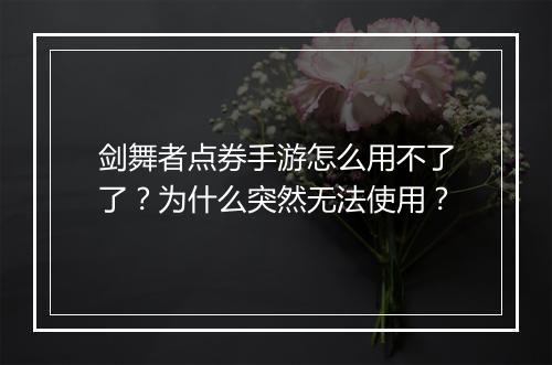 剑舞者点券手游怎么用不了了？为什么突然无法使用？