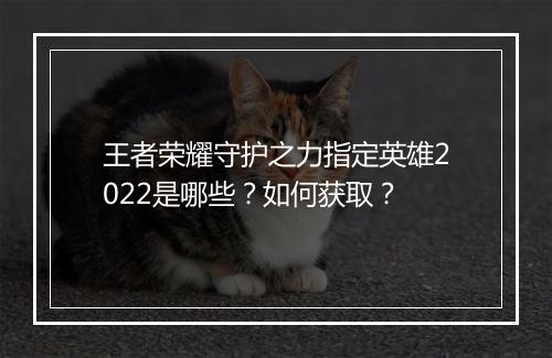 王者荣耀守护之力指定英雄2022是哪些？如何获取？